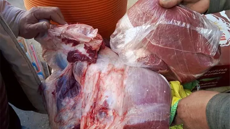 ضبط لحوم بلدية مذبوحة خارج المجازر ببيلا