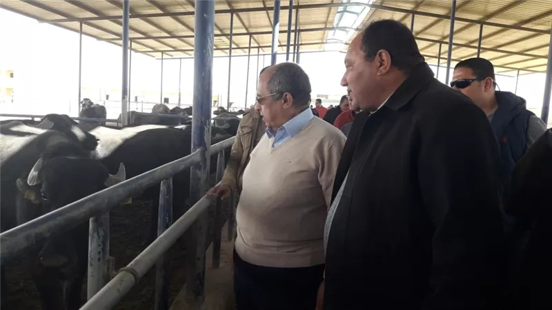 تفاصيل جولة وزير الزراعة غرب المنيا.. دورات زراعية لضمان أعلى إنتاجية