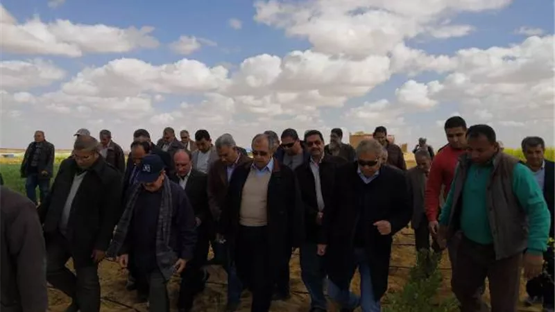 ابو ستيت من المنيا: موقع الكترونى للارشاد الزراعى للتعلب على عجز الموارد البشرية