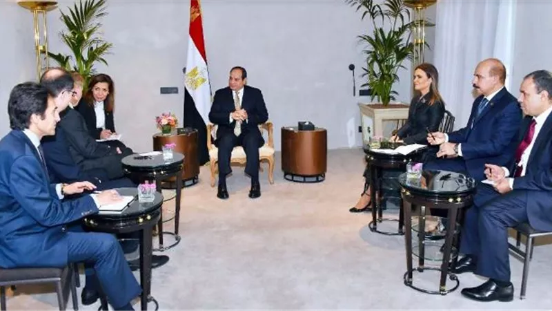 السيسى يبحث أوجه التعاون مع الرئيس التنفيذى لمجموعة 