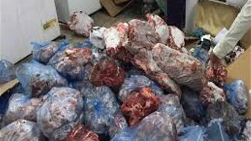 ضبط 3,6 طن من الاسماك وكبدة الفاسدة بأبو النمرس