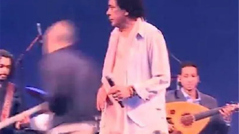 معجب يقتحم حفل محمد منير .. والكينج يحرجه .. صور