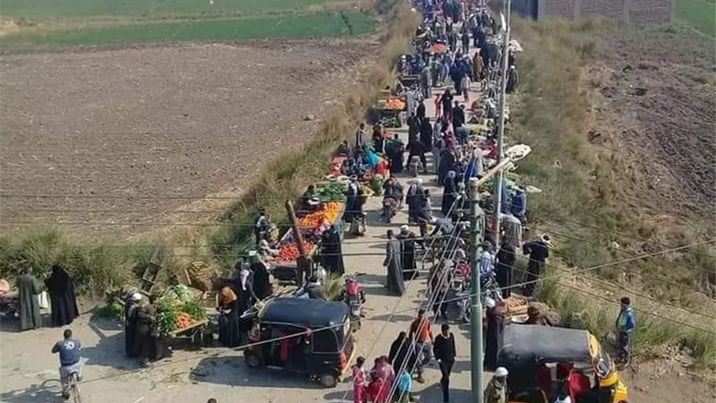 سوق أسبوعى للخضار والفاكهة واللحوم بقرية الضبعية غرب الأقصر