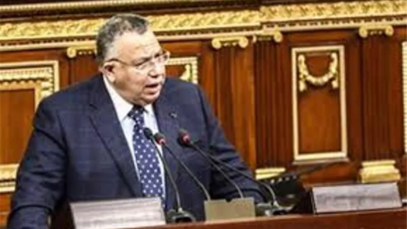 وكيل النواب: نمتلك أساس دستوري راسخ لحماية حقوق الإنسان وحرياته السياسية