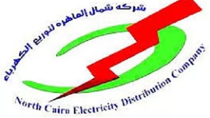 اللجنة النقابية للعاملين بشمال القاهرة لتوزيع الكهرباء تؤيد التعديلات الدستورية