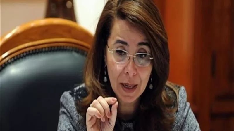 والى : 42720 أسرة استفادت من برنامج سكن كريم حتى الآن