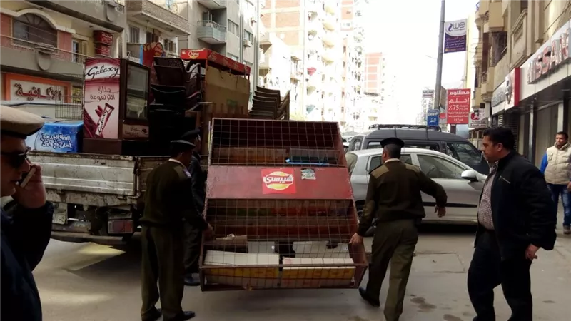 تنفيذ 1521 حكم قضائي وتحرير 719 مخالفة مرورية بالغربية