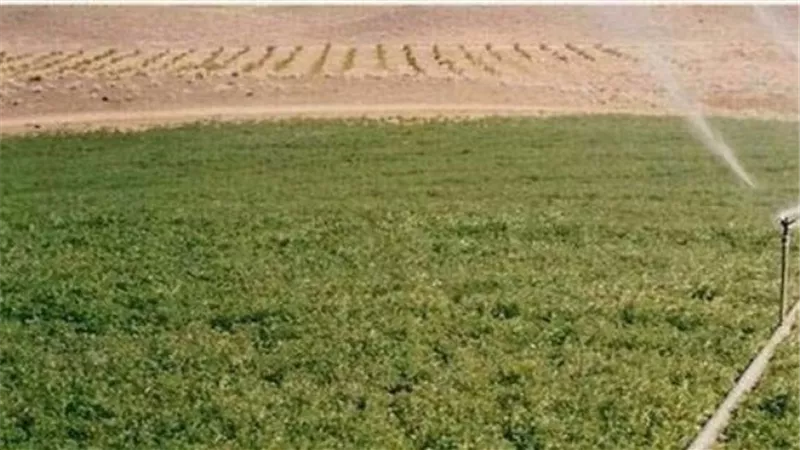 الريف المصري تحذر من شركات وهمية تدعي بيع أراضي بمشروع 
