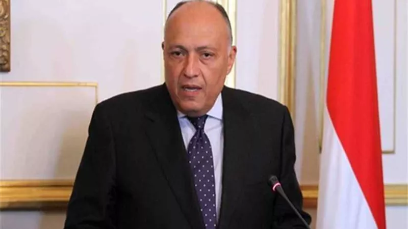 شكري : مصر تؤكد علي اهمية تعزيز التعاون العالمي في مجال حقوق الانسان