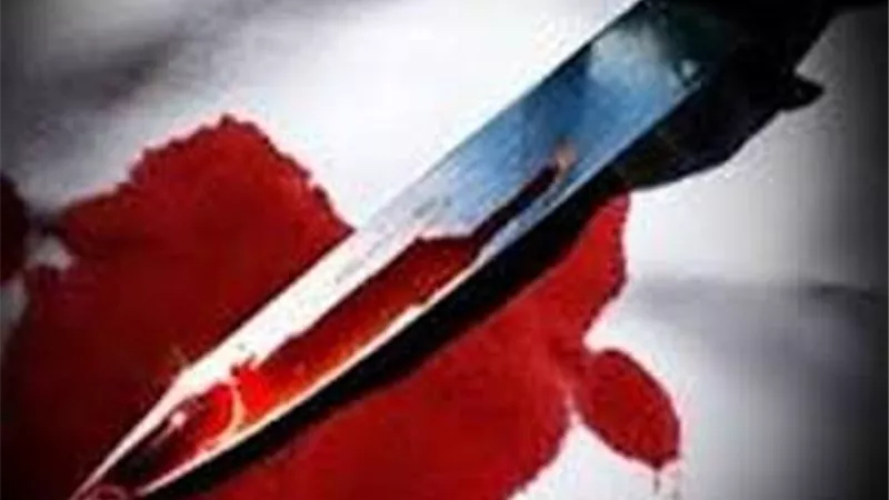 طعن شقيقه بالسكين بسبب مطالبته بالميراث .. والمحكمة تعاقبه بالسجن المشدد