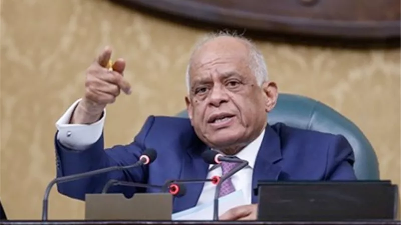رئيس مجلس النواب: دعم وتأييد لنشاط الدبلوماسية الرئاسية