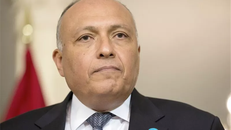 وزير الخارجية يلتقي المفوضة السامية لحقوق الإنسان