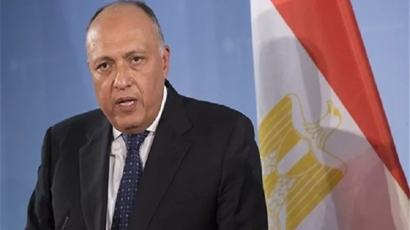 وزير الخارجية يلتقى في جنيف السكرتير العام الاتحاد الدولي للاتصالات