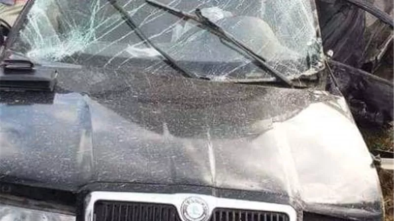 مصرع شابين فى تصادم بالطريق الدولى بين جمصة وبلطيم بالصور