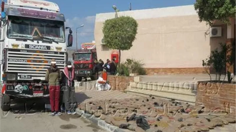 احباط تهريب طن بانجو داخل حمولة اسمنت بالقنطرة شرق