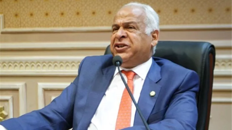 النائب فرج عامر : السيسى انتصر لدور المرأة قبل المجتمع الدولى