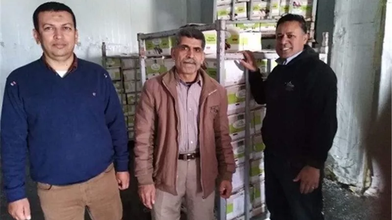 ضبط خمسة اطنان باذنجان مقلي منتهي الصلاحية فى التل الكبير