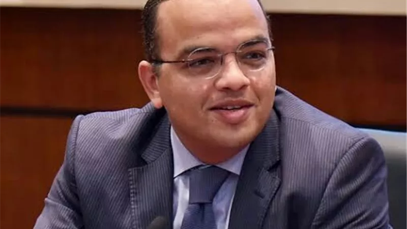 «رئيس هيئة الاستثمار السابق» يطالب بإنشاء هيئة عامة مستقلة للاستثمار في أفريقيا
