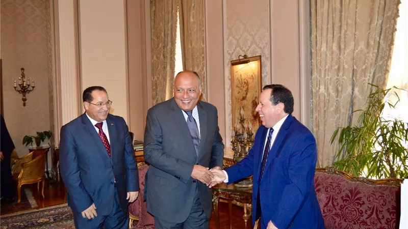 شكري يلتقي نظيره التونسي في إطار أعمال آلية التشاور السياسي بين البلديّن