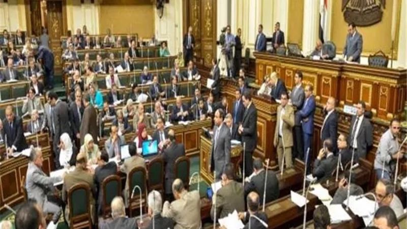 العاملون بقطاع كهرباء المدن الجديدة نؤيد التعديلات الدستورية من أجل مزيد من الاصلاحات