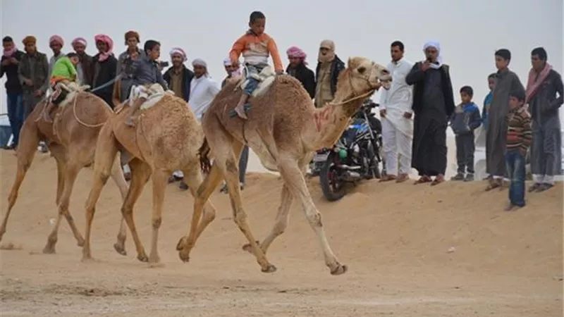 الاتحاد الأفريقي لسباقات الهجن رئاسة مصرية و انطلاقة عالمية