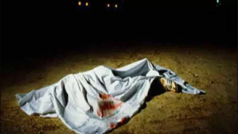 حاولا سرقة سيارة بالاكراه. . لص يقتل صديقه عن طريق الخطأ بالقليوبية