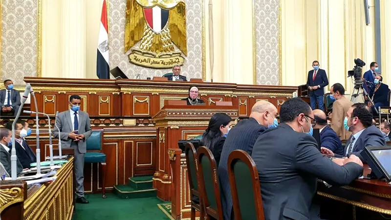 نيفين جامع تستعرض أمام الجلسة العامة لمجلس النواب رؤية وخطة عمل وزارة التجارة والصناعة