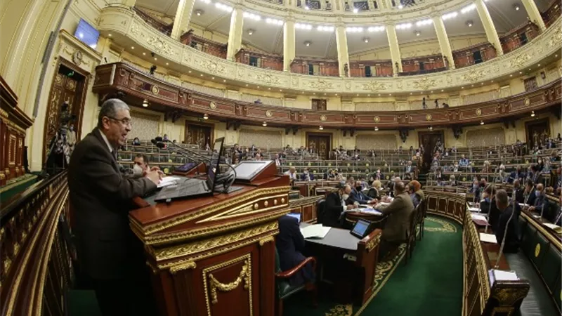 وزير الكهرباء : 10 مليون عداد ذكي مسبق الدفع و تغيير 27 مليون عداد خلال 5 سنوات