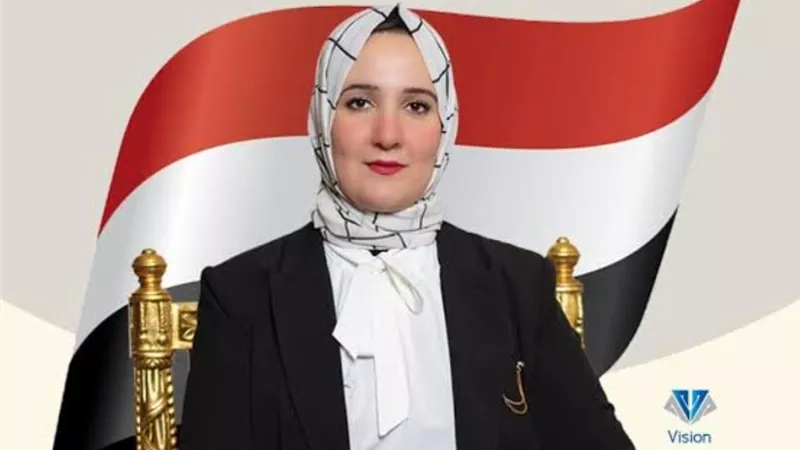 مي مازن لـ وزير الكهرباء: الاسعار جزافيه والفواتير لاتتناسب المستهلك ولابد من التدخل