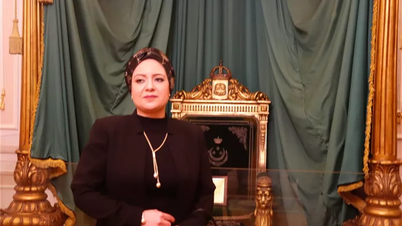 نائبة تطالب بتخفيض أسعار الكهرباء لمحافظة أسوان بسبب شدة الحرارة