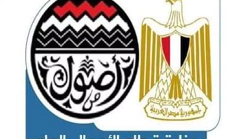 التعاون الدولي: هيكلة الإدارة العامة لمتابعة المشروعات واجتماعات دورية لضمان تنفيذ المستهدفات