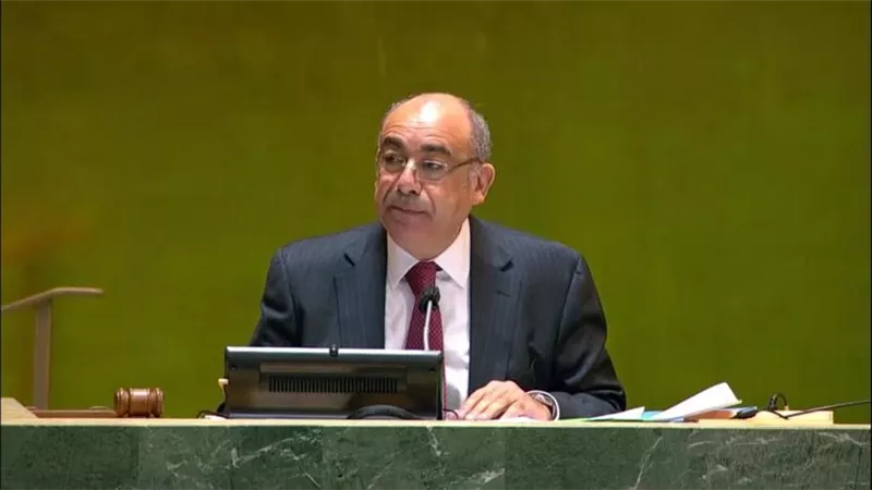 السفير محمد ادريس : مصر مكانها الواضح والصحيح في قلب العمل الدولي