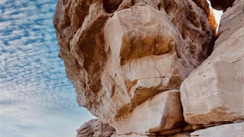 وزارة السياحة والآثار تدعو مجموعة من المدونين للترويج للسياحة الداخلية