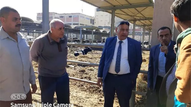 لتنمية الثروة الحيوانية والداجنة .. زراعة المنوفية تتابع المزارع والأسواق ومصانع الأعلاف