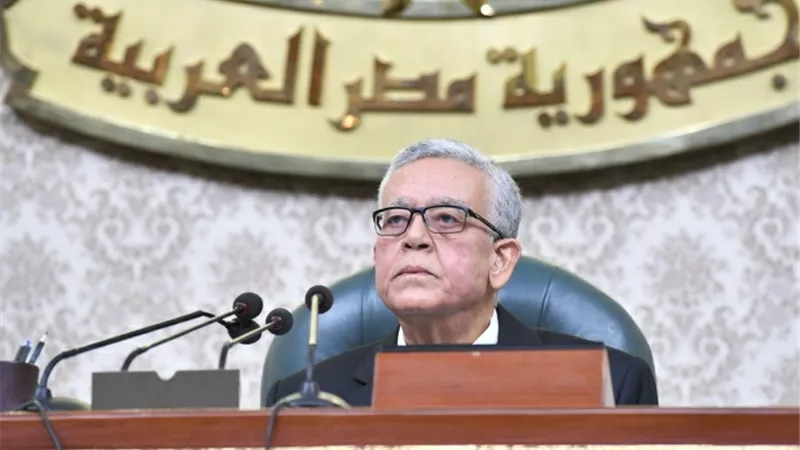رئيس النواب يحيل لائحة الشيوخ للجنة التشريعية.. ودقيقة حداد على روح الجمال
