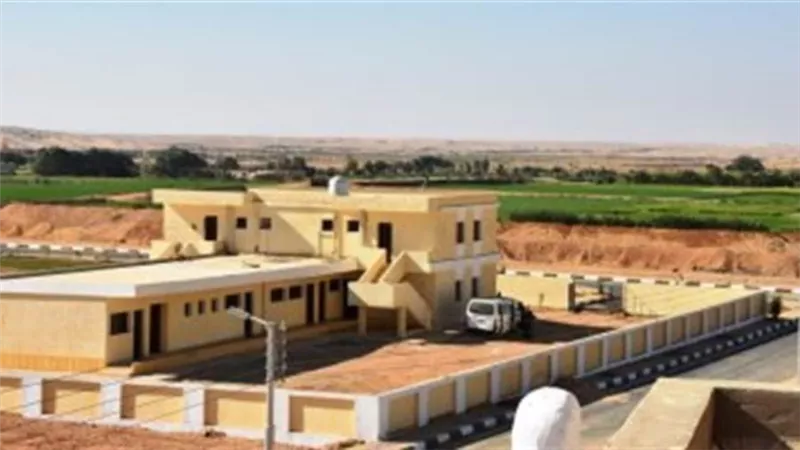 نشأت الديهي: تطوير الريف المصري أضخم مشروع في تاريخ مصر