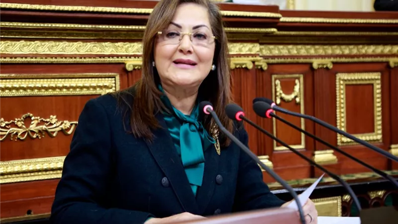 برلمانية لوزيرة التخطيط :هل تخلت الحكومة عن شركة الحديد والصلب وهيكلة الشركات الخاسرة ؟