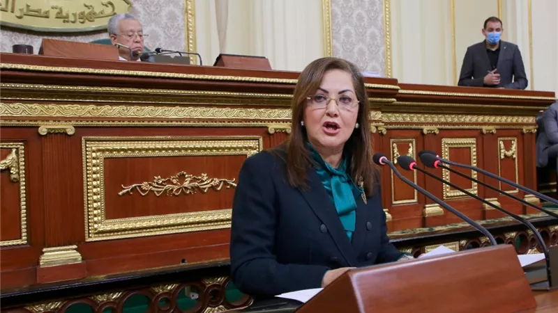 وزيرة التخطيط : 4,5 مليار جنيه اجمالي تكلفة المرحلتين من منحة العمالة غير المنتظمة