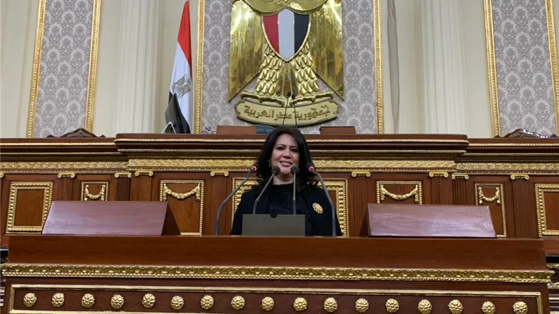 النائبة رانية الجزايرلي تعلن اعتزامها التقدم بمشروع قانون لتنظيم النسل
