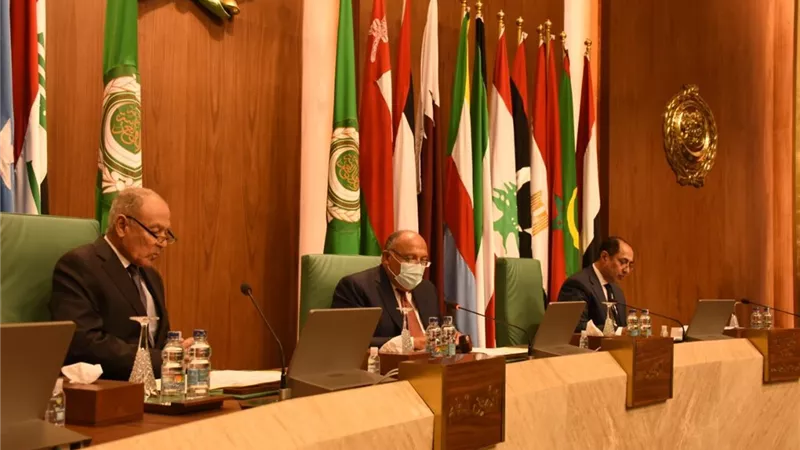 لا بديل عن حل الدولتين.. ننشر كلمة أحمد أبو الغيط في المجلس الوزاري من أجل فلسطين