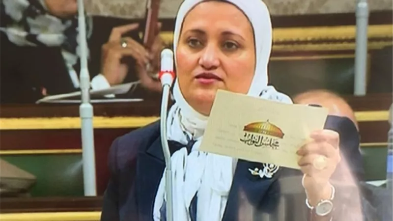 سناء السعيد تتقدم بطلب احاطة ضد مواسير (الاسبوستس) بساحل سليم