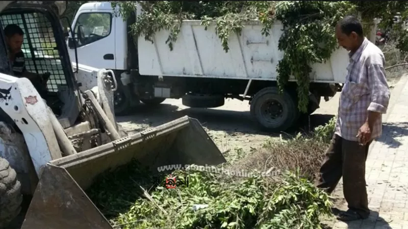 رفع 209 طن قمامة وتقليم وتجميل الحدائق بحى غرب الاسكندرية