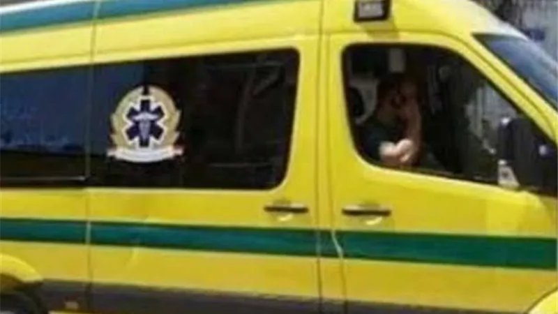 سيارة تصدم طفله وتفر هاربة بالمنصورة
