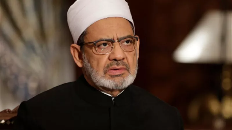 شيخ الأزهر: إنجاز عربي جديد يتحقق على أرض الواقع بوصول 
