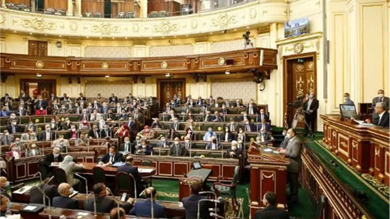 لجنة إعلام البرلمان: نرفض بيان أسامة هيكل.. والوزارة إهدار للمال العام.. فيديو