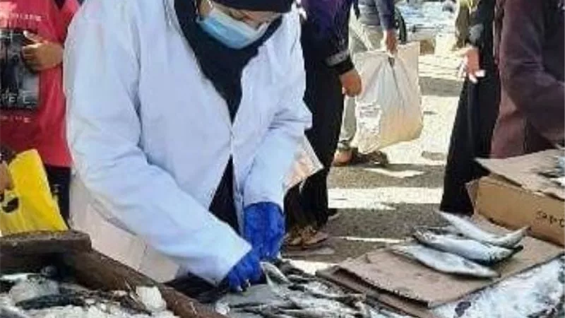 بيطرى الشرقية يضبط 2 طن لحوم ويحرر71 محضر مخالفة المراكز..بالصور