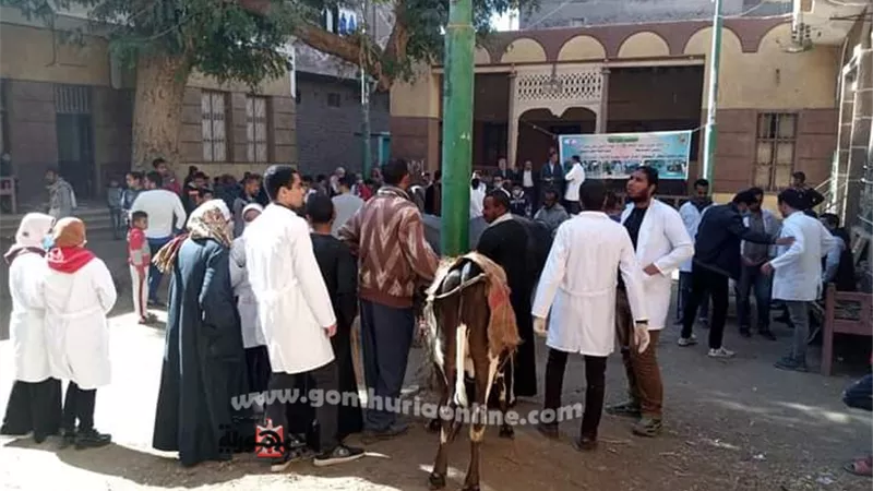 جامعة سوهاج تطلق قافلتها البيطرية الأسبوعية لقرية بني زار وتعالج ٤٤٠ حالة..صور