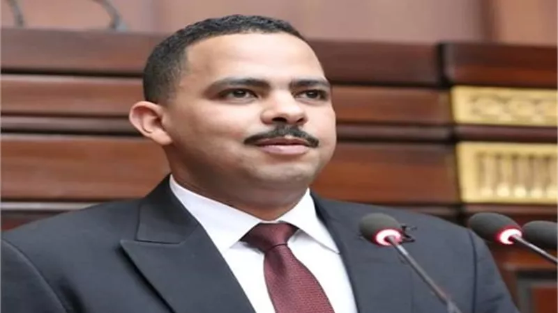 اشرف رشاد ينتقد تصريحات بكري ويؤكد : عبد العال لم يترشح لرئاسة المجلس
