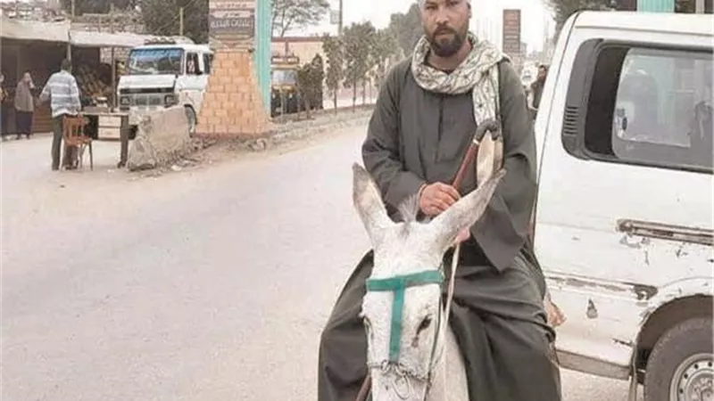 أمن المنيا يفرج عن صاحب واقعة 
