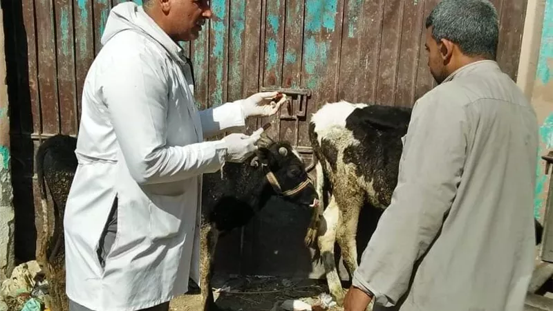وزيرة الصحة في الاسماعيلية : التأمين الصحي يشمل جميع المصريين والخدمة عالمية